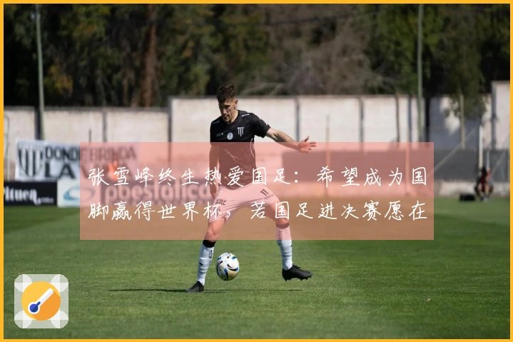 张雪峰终生热爱国足：希望成为国脚赢得世界杯，若国足进决赛愿在现场献身